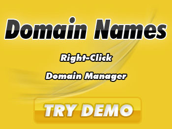 Bargain domain name services